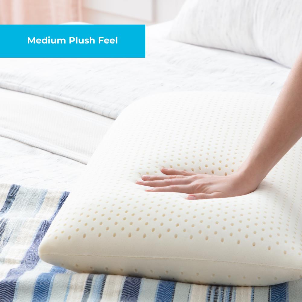TALALAY LATEX FOAM PILLOWS QUEEN SIZE PILLOW WITH ZIPPERED COVER 