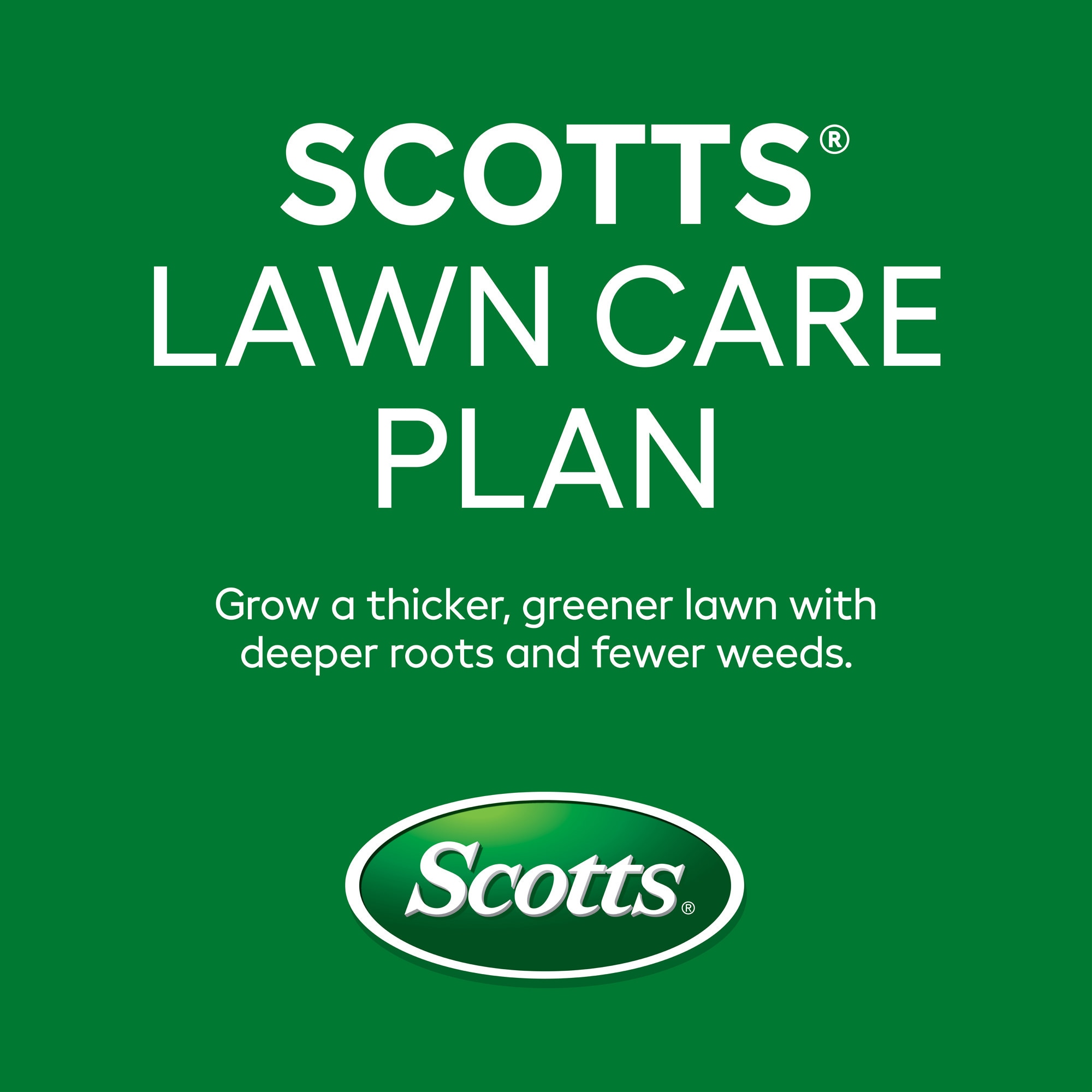 Scotts Lawn Care Plan Northern Yard 20-lb 5000-sq ft 30-0-6 All-purpose Weed Feed Weed Control Insect Control Fertilizer