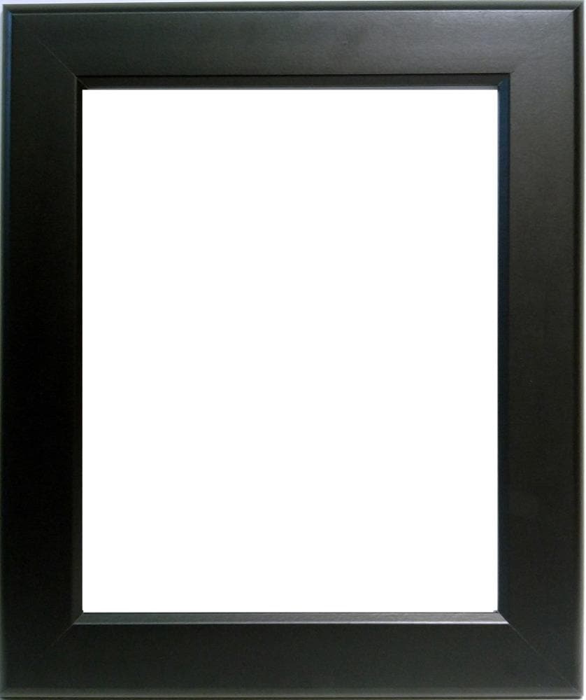 Timeless Frames Artist Frames Black Picture Frame 20 in x 20 in ...