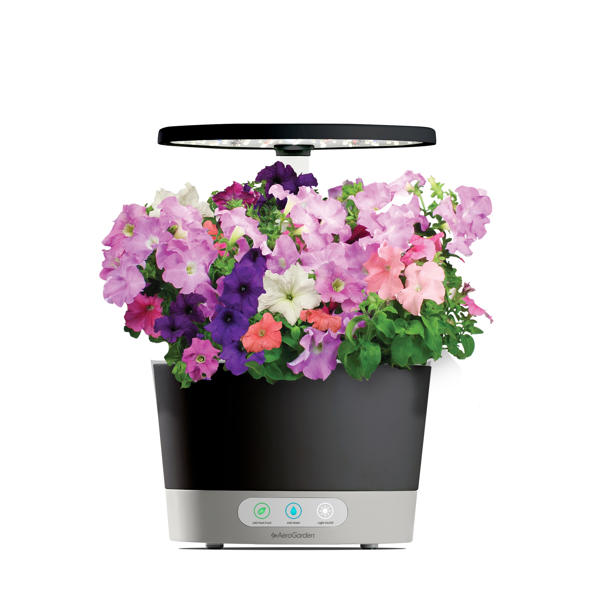 AeroGarden Cascading Petunia Flower Seed Pod Kit 9-pod for sale online 