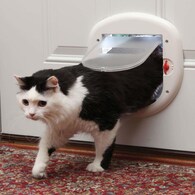 Cat flap Small (25-lb or Less) White Plastic Pet Door