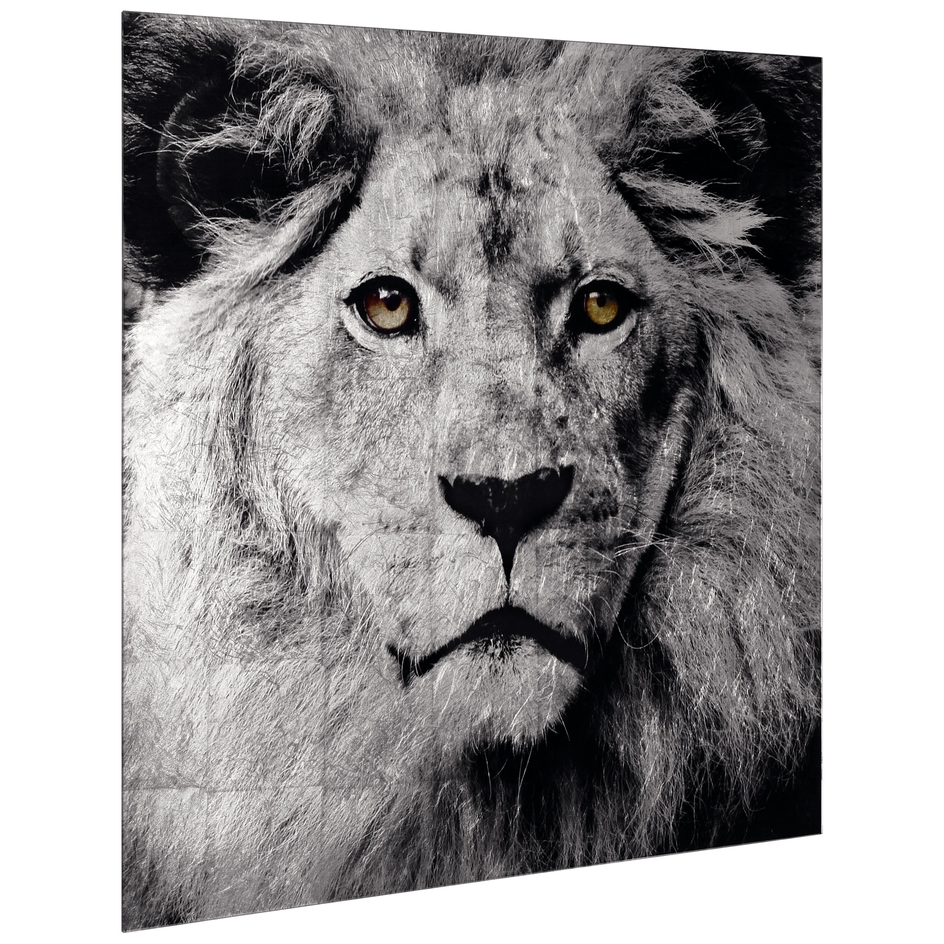 Empire Art Direct 36-in H x 36-in W Animals Glass Print