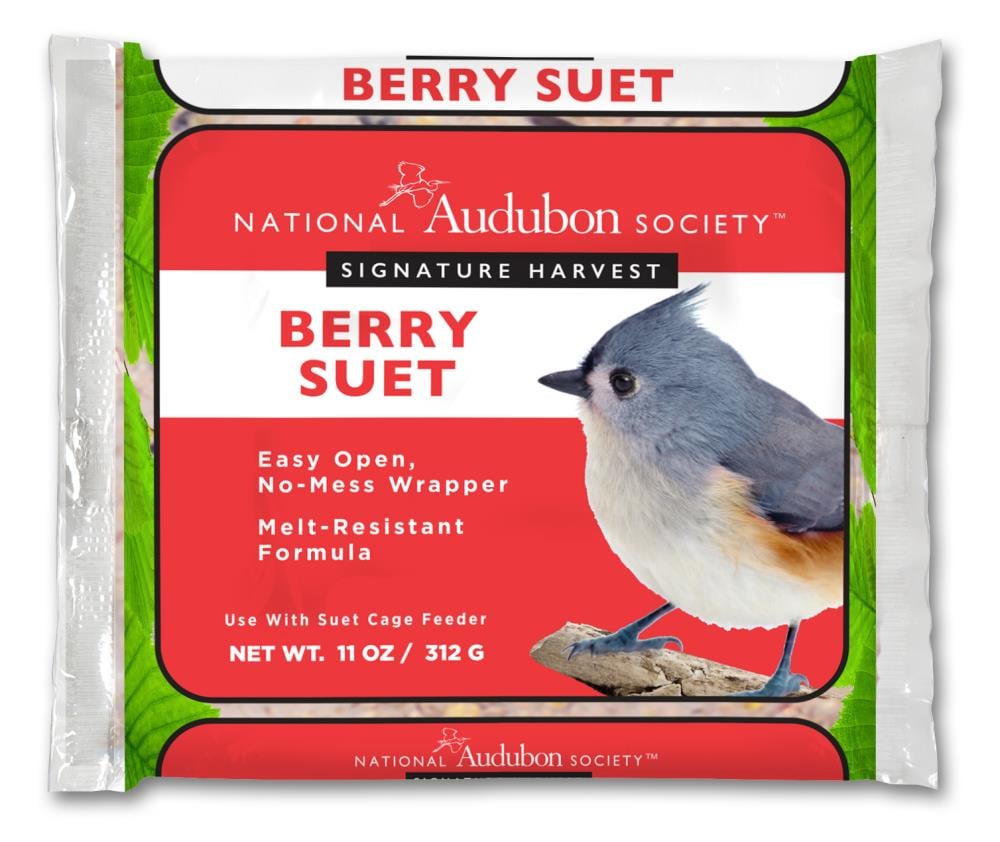 berry suet