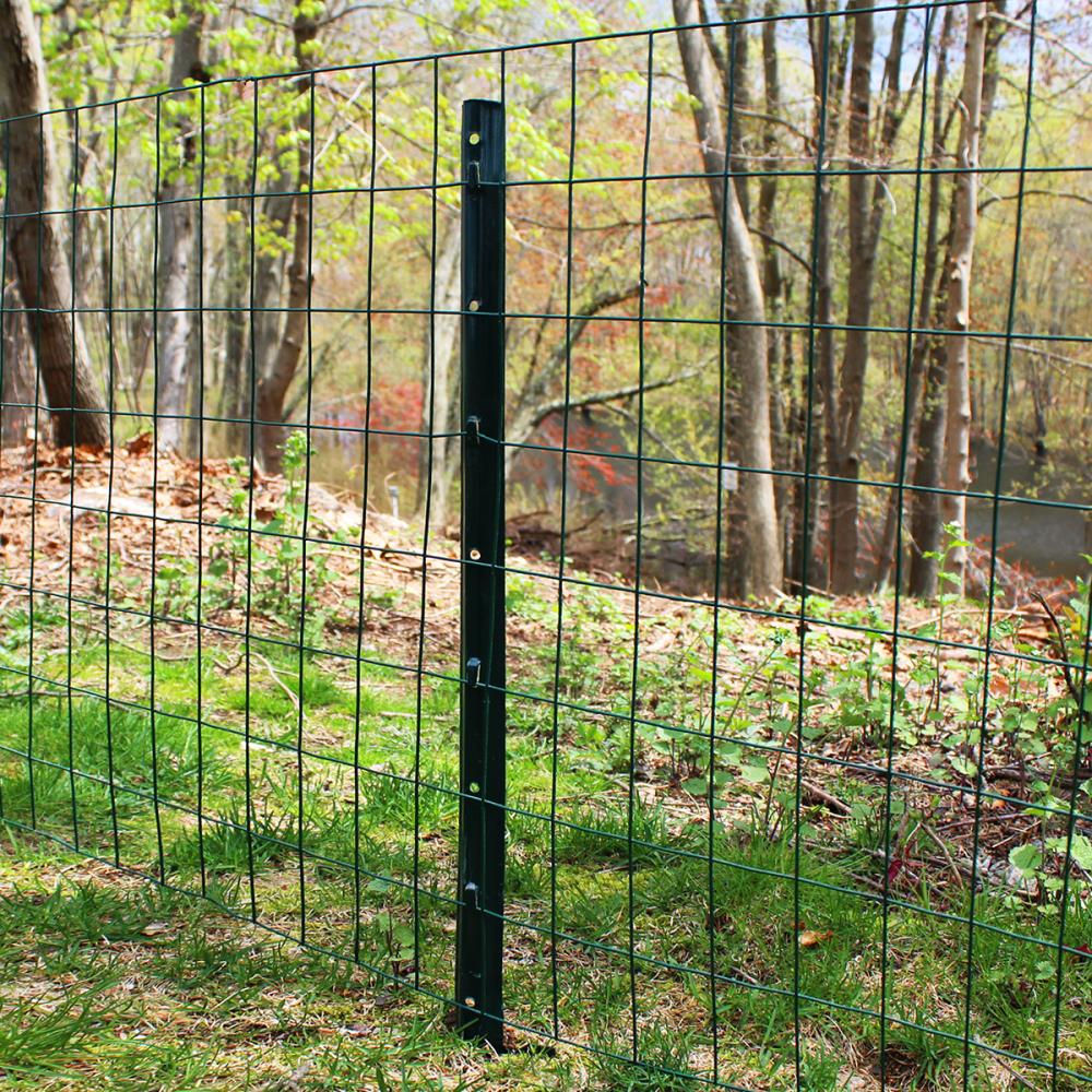 Garden Craft 023650 Green PVC Coated Steel Welded Wire Rolled Fence 3 x 50 ft. 