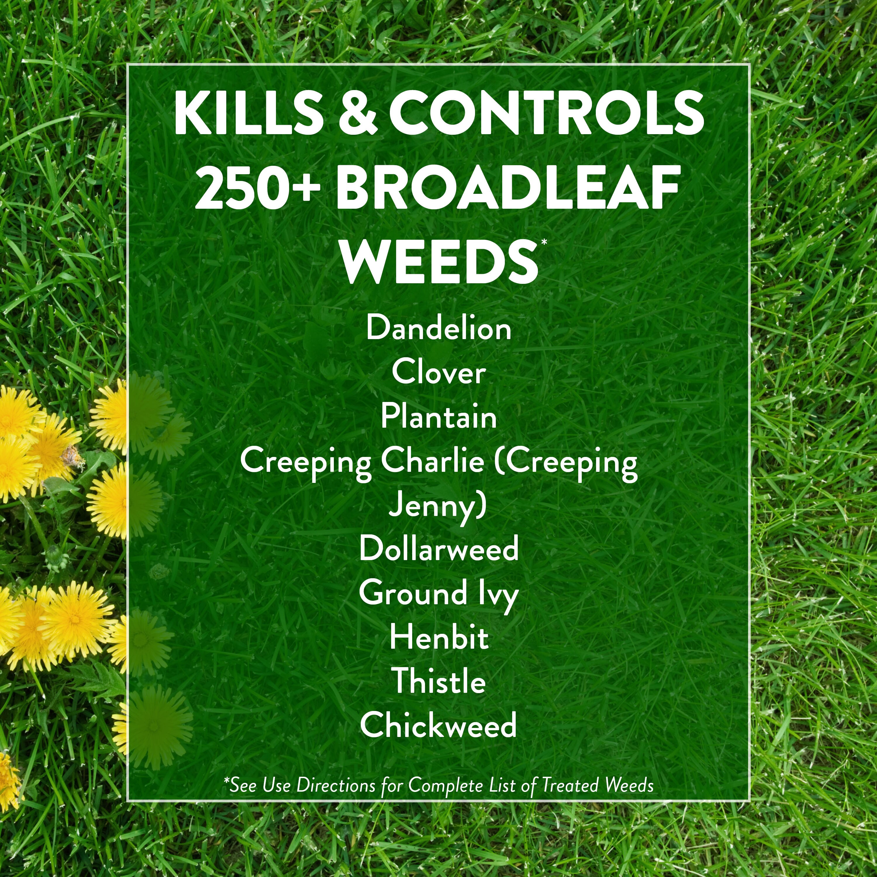 Greenview Broadleaf Weed Control Plus Lawn Food 39-lb Lawn Weed Killer