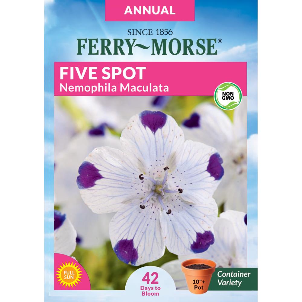 Ferry Morse Ferry Morse 20 Milligrams Five Spot Nemophila ...