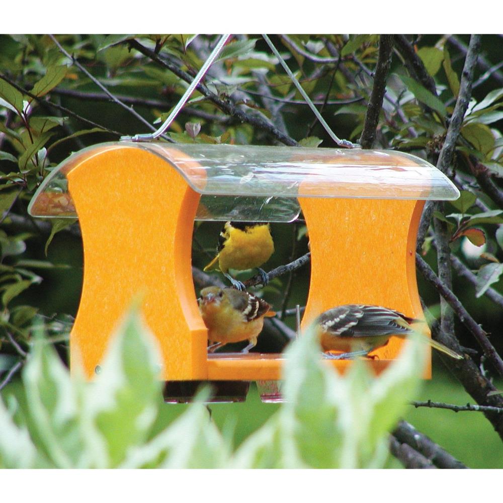 BIRDS CHOICE Recycled Plastic Bird Feeder in the Bird Feeders