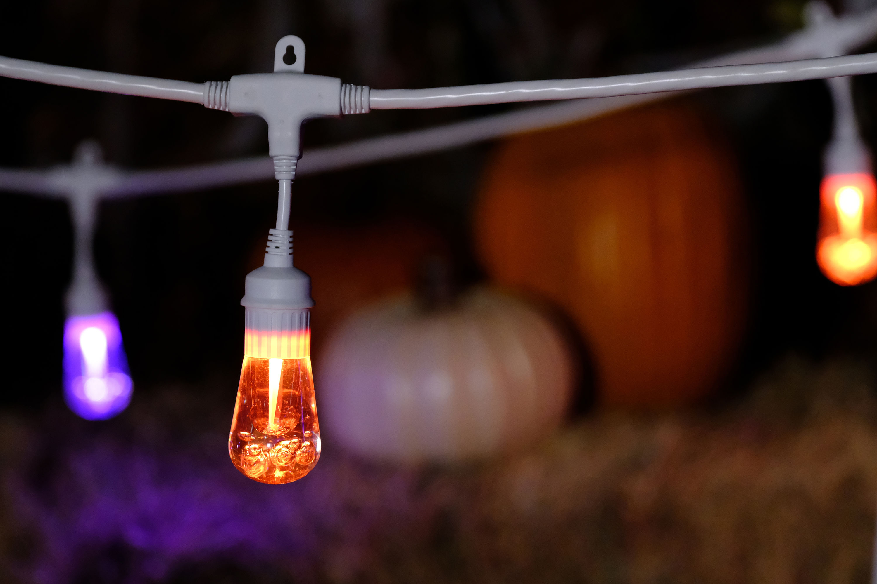 Enbrighten Cafe 48 ft 24 bulb Indoor Outdoor LED light strand 16 color remote