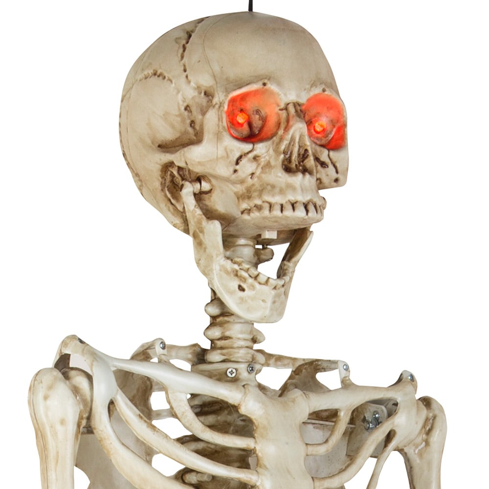 Halloween Hanging Skeleton Display Prop with Moving Talking Jaw & Light up Eyes 