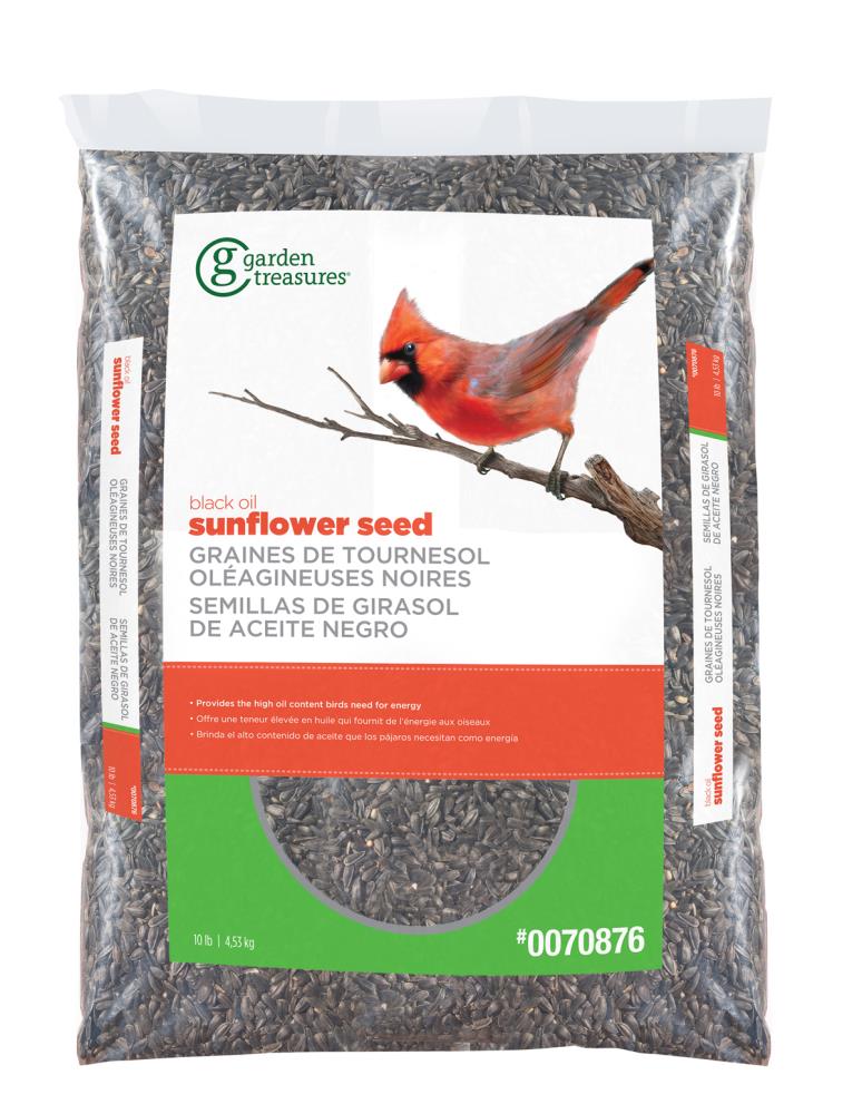 black oil sunflower seeds for birds lowes