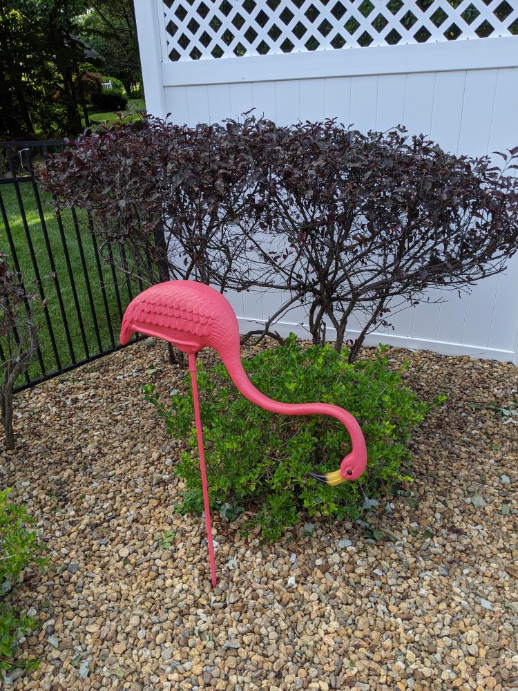 Exclusive Edition Union 62360 Original Featherstone Pink Flamingo Yard Lawn Ornaments 38 -Set of 2