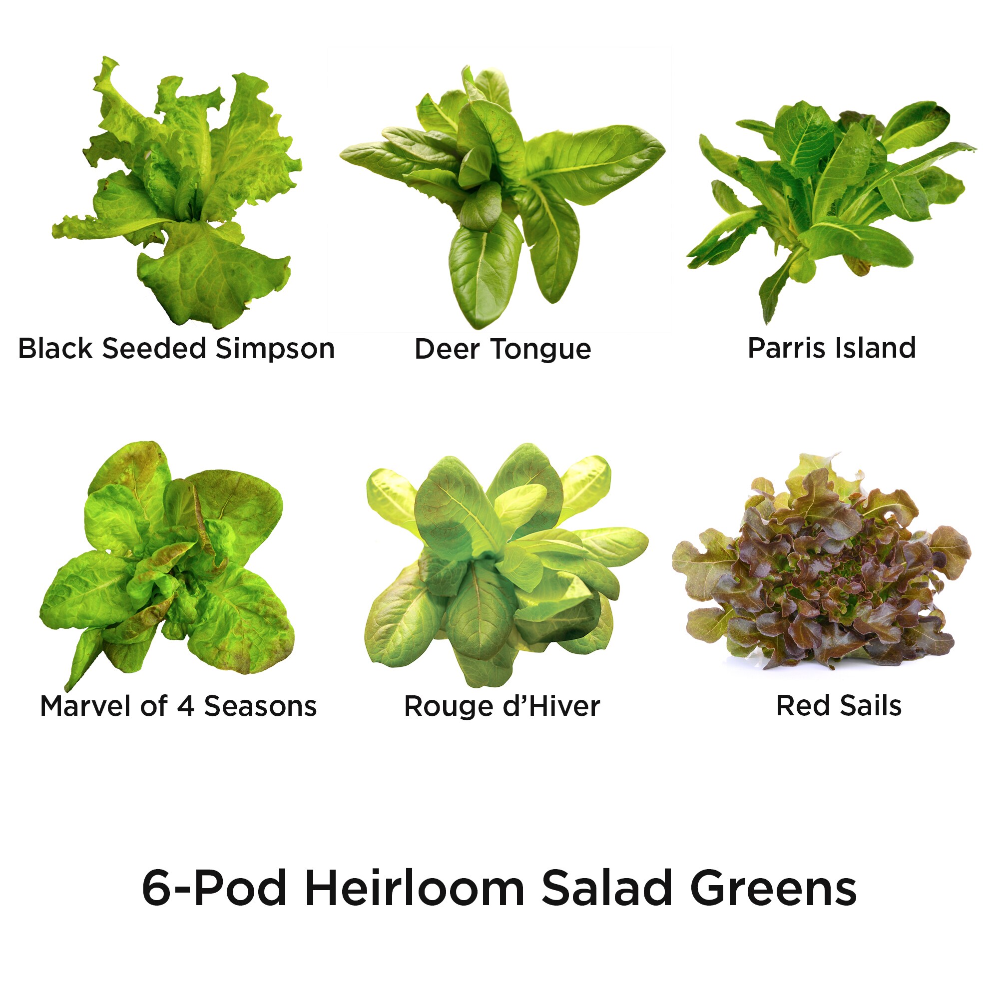 New AeroGarden Heirloom Salad Greens Seed Pod Kit 3 Pod Indoor Gardening 