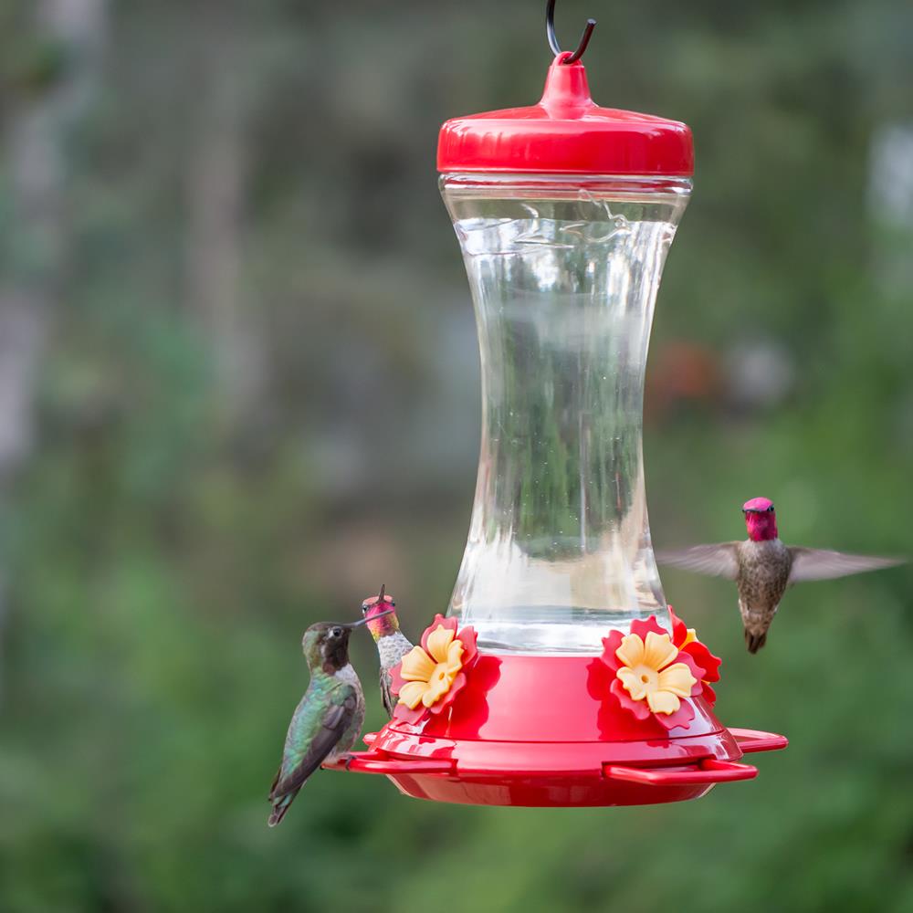 Perky-Pet Hardened Glass Hummingbird Feeder 6 Pack 209B 