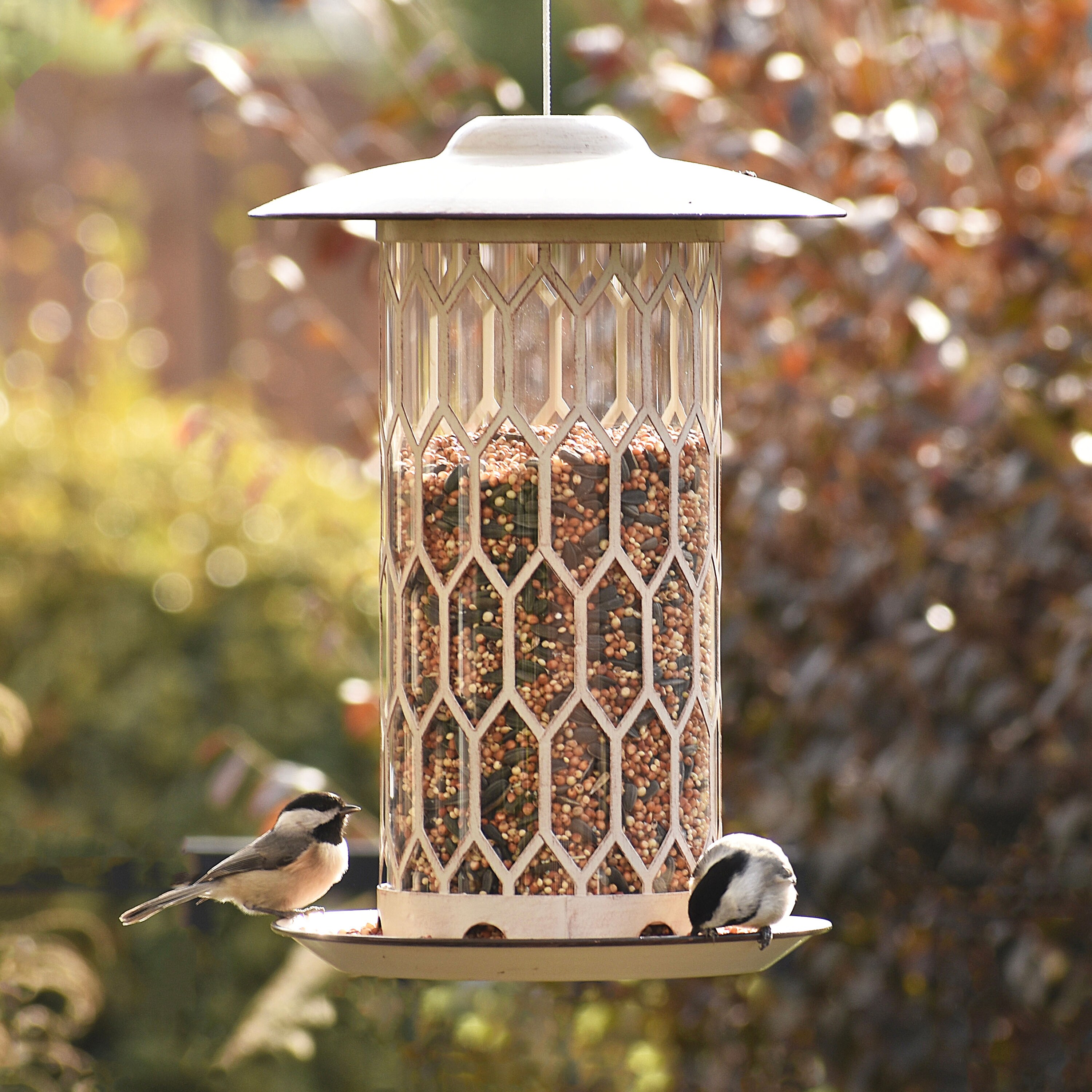 Rustic Metal Hanging Spigot Bird Feeder with Seed Tray Outdoor Garden Decor New 