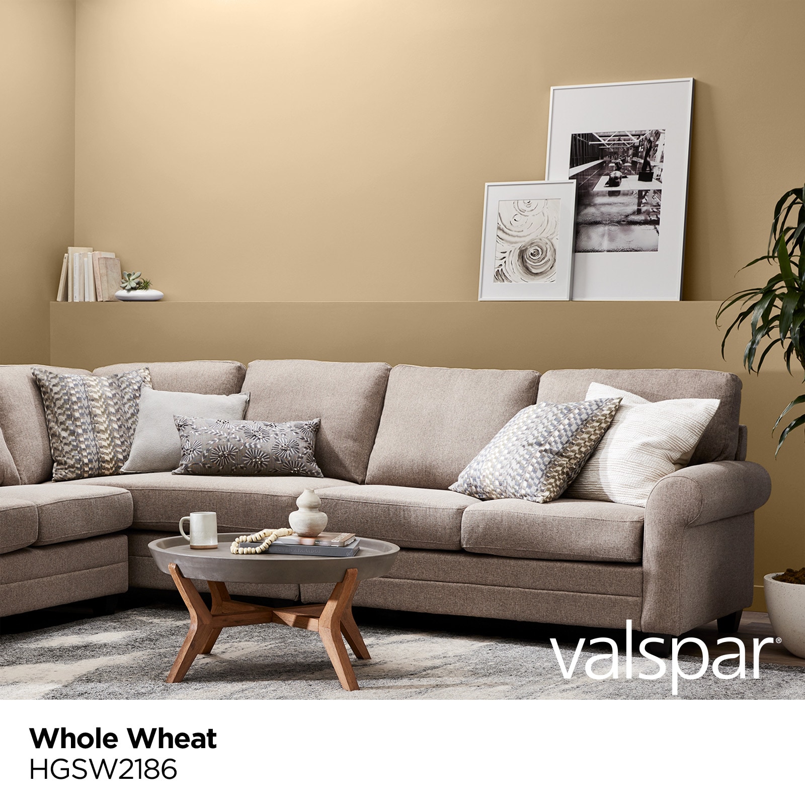 Whole Wheat Paint Color Sherwin Williams Edu Svet Gob Gt