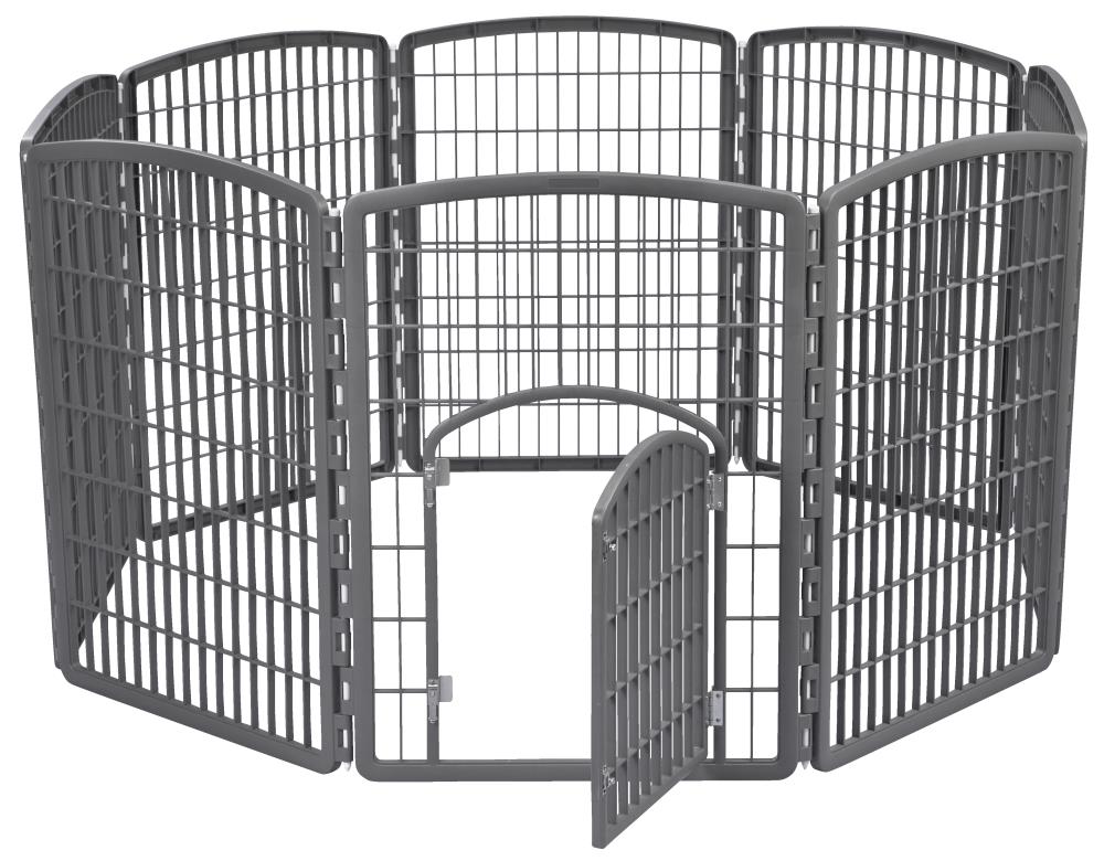 iris dog fence