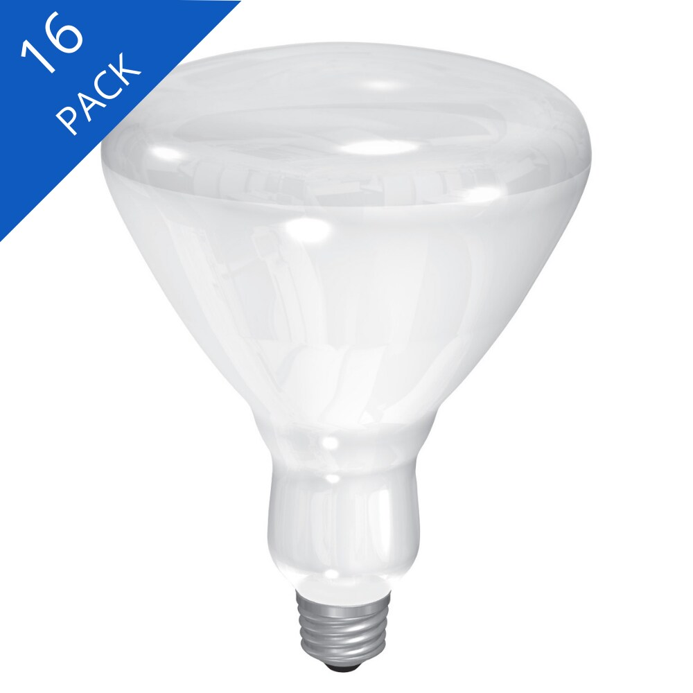 1-Pack GE Lighting 14016 65-Watt 580-Lumen BR40 Soft White Flood Light Bulb 