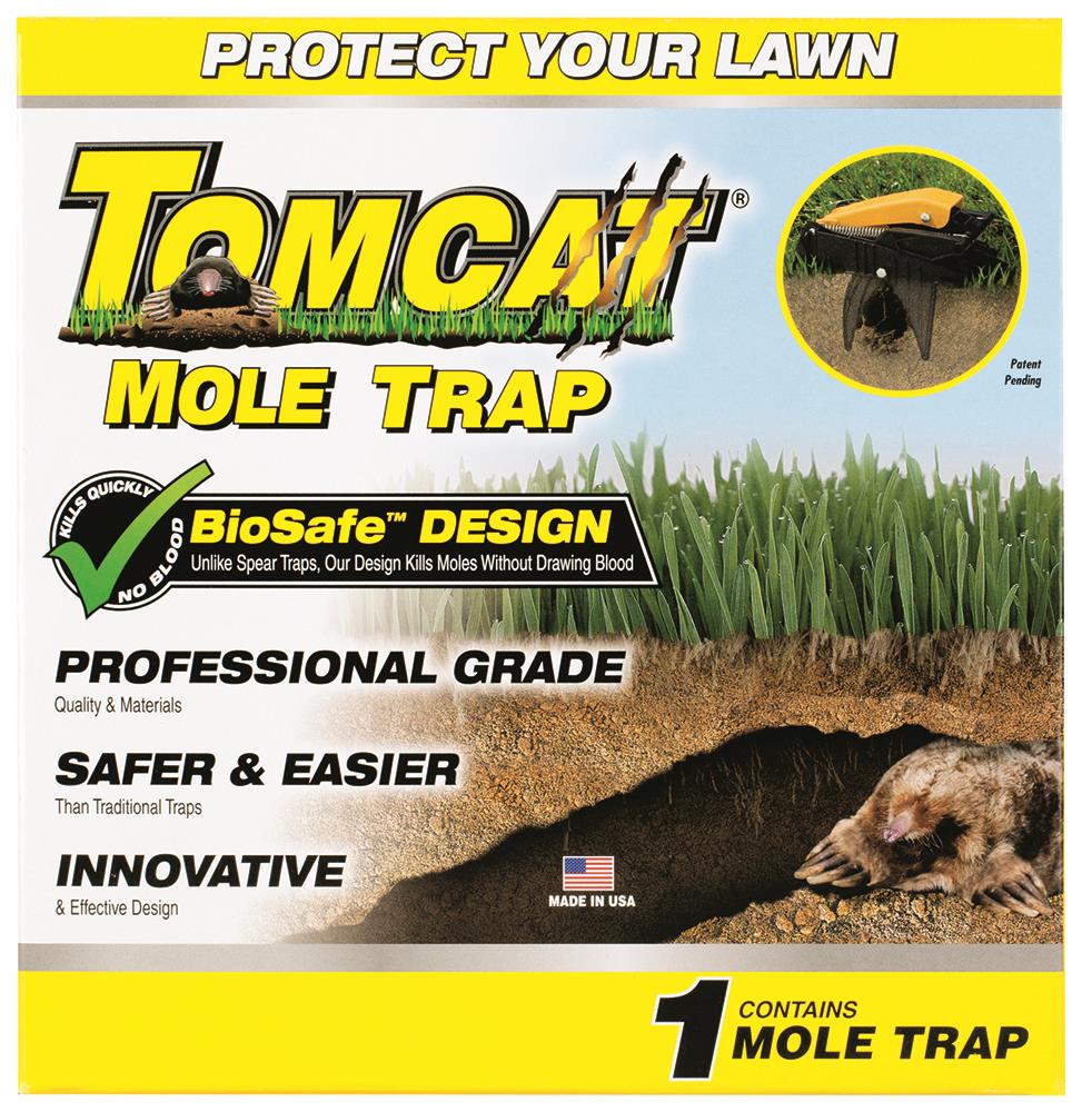 Best Mole Traps