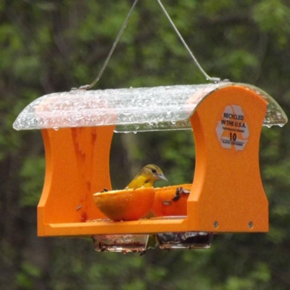 Nectar and Orange Lovers Jelly Poly-wood Bird Deluxe Oriole Feeder 