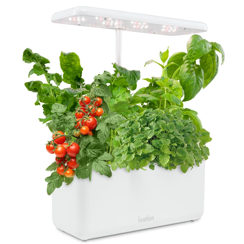 Hydroponics Growing System White Indoor LED Lighting Herb Garden Plant Germination Kits,Indoor Hydroponics Growing Nutrients Pot Suitable for Home Decoration 