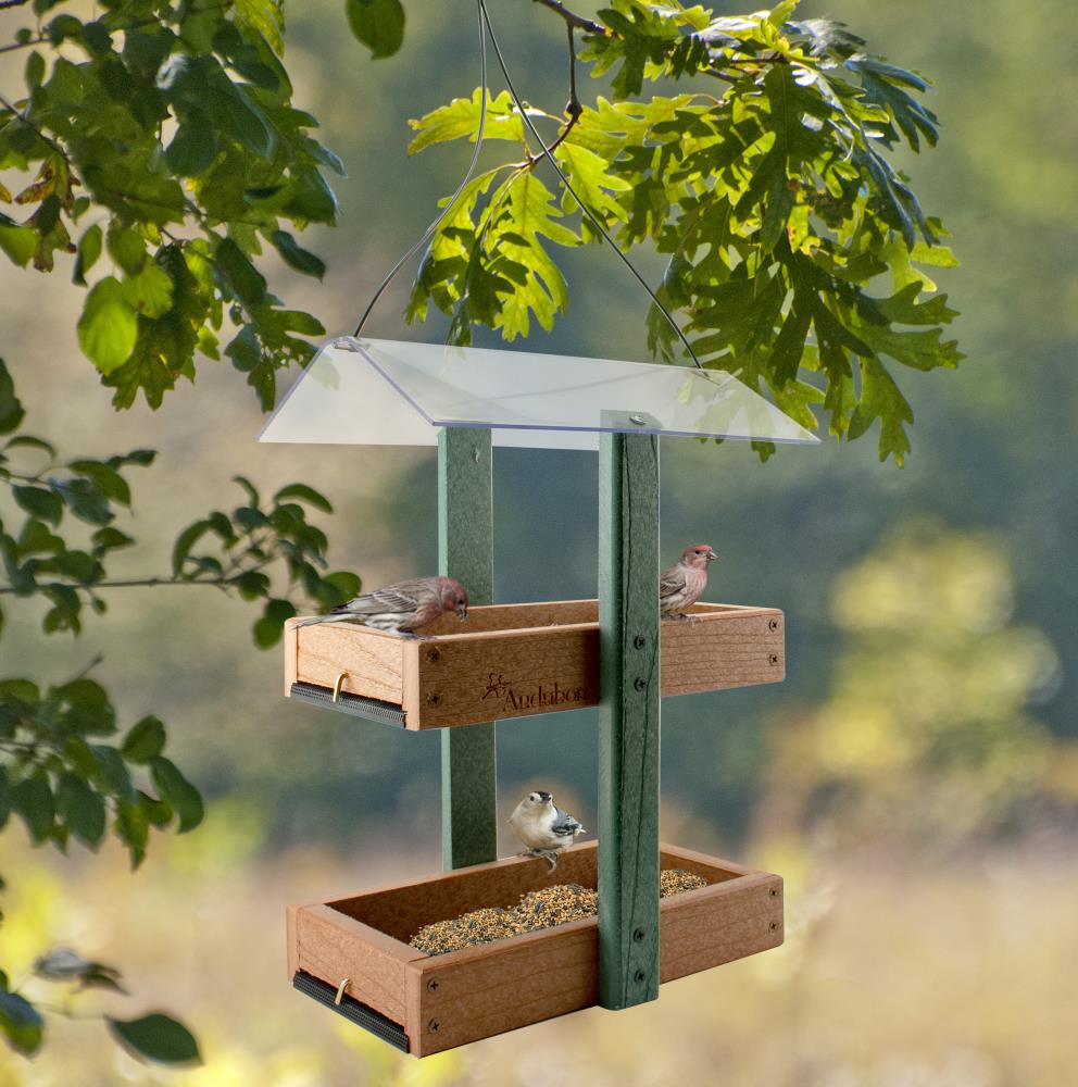 Woodlink Green Plastic Platform Bird Feeder In The Bird Feeders 