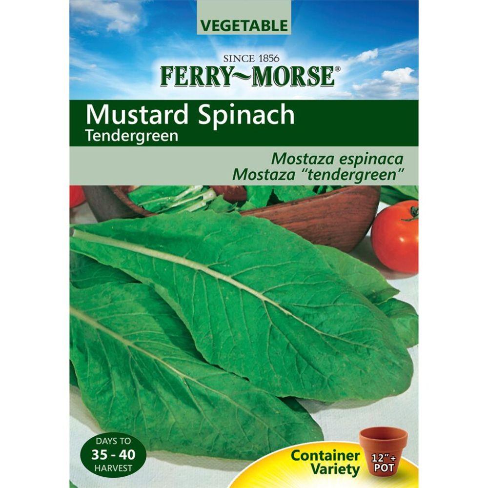 150 non-gmo fresh garden seeds tendergreen mustard spinach seeds