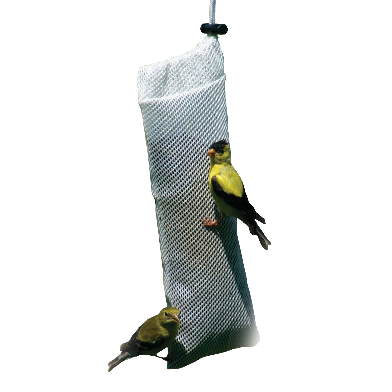 lowes finch sock