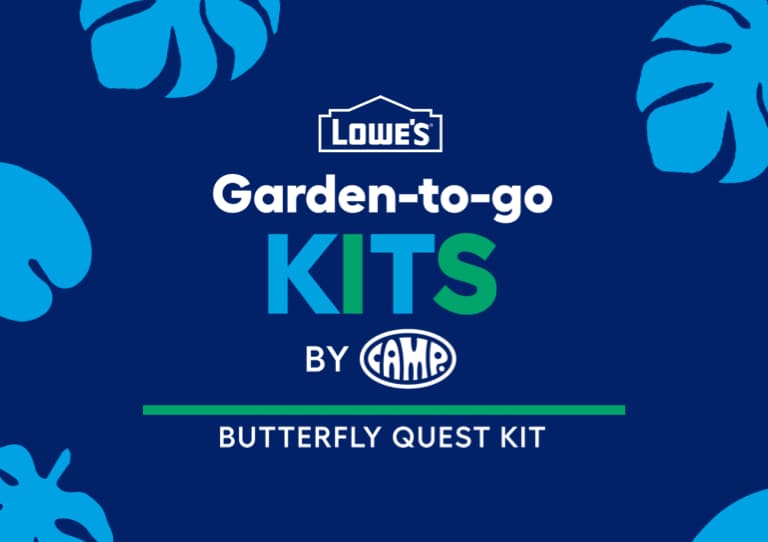 Butterfly Quest Kit