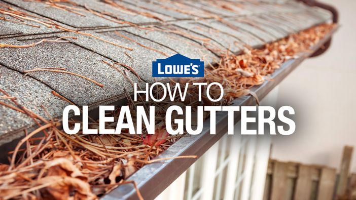 Gutter Cleaning Carver MN