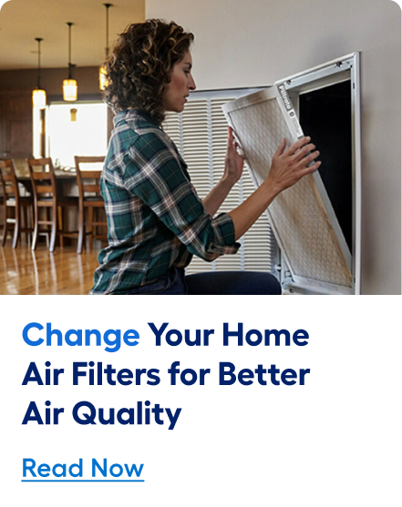Change your home air filters for better air quality. Read now.