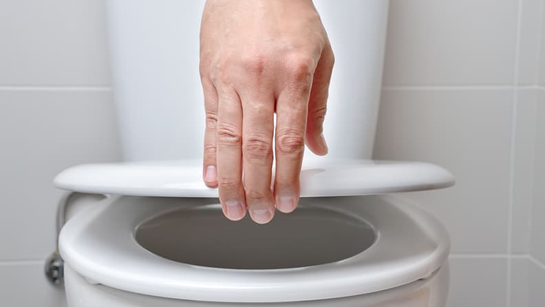 Toilet Seat Buying Guide: How to Find the Best For You