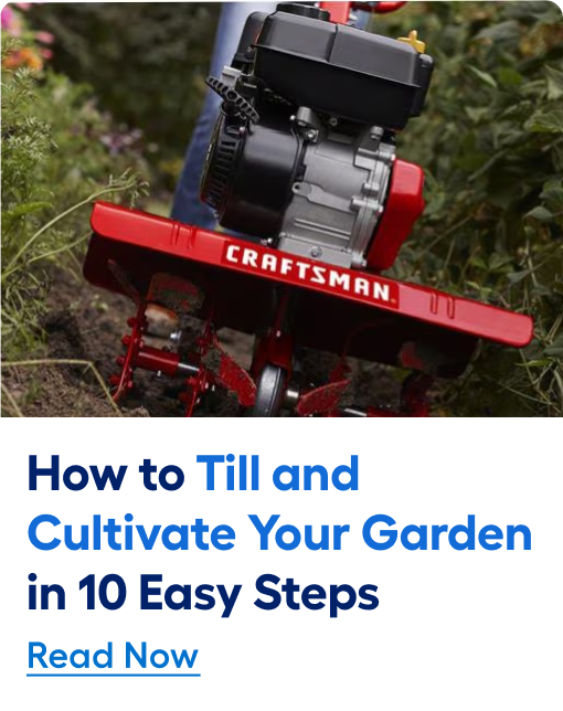 How to till and cultivate your garden in ten easy steps. Read now.