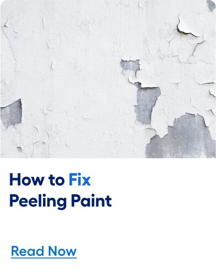 How to fix peeling paint. Read now. 