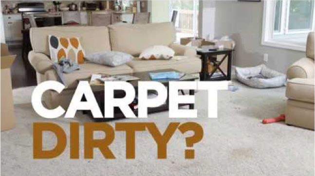 Does Lowe's Rent Carpet Cleaners In 2022? (Price, Types + More)