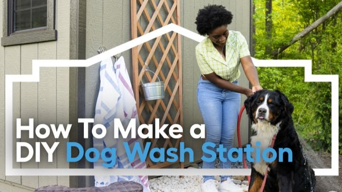 Outdoor dog wash store station near me