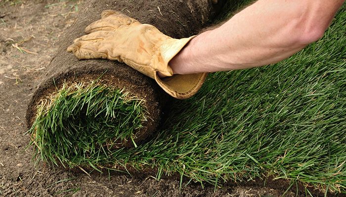 How Much Does It Cost To Lay 500 Square Feet Of Sod