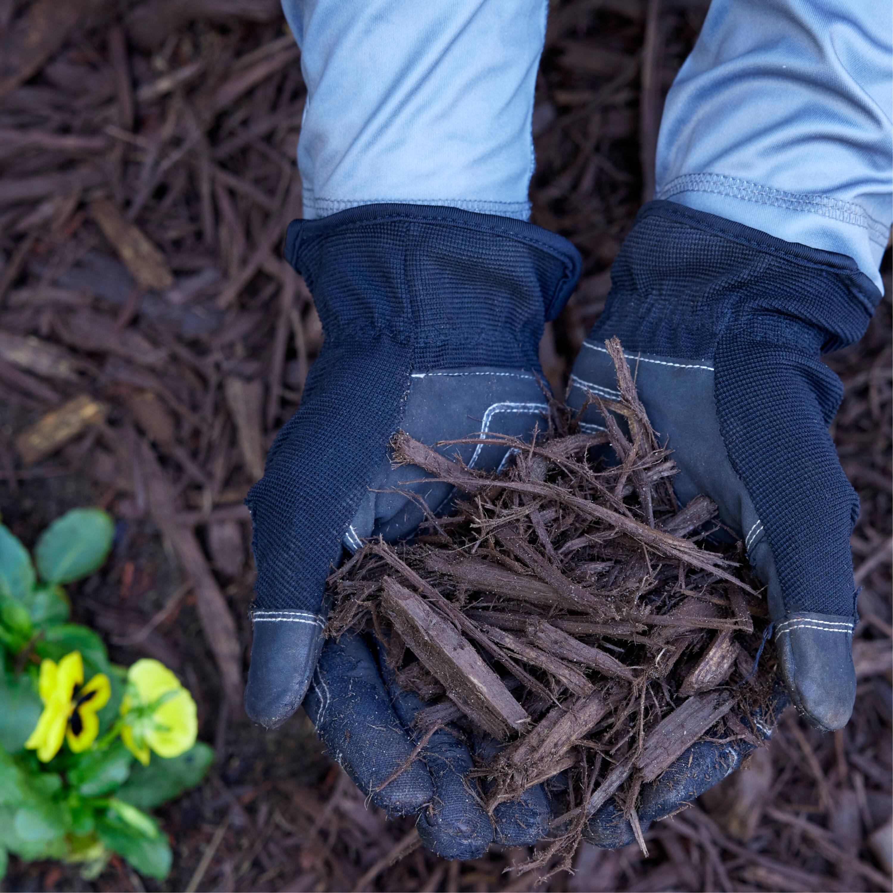 Wood mulch in a flower bed.