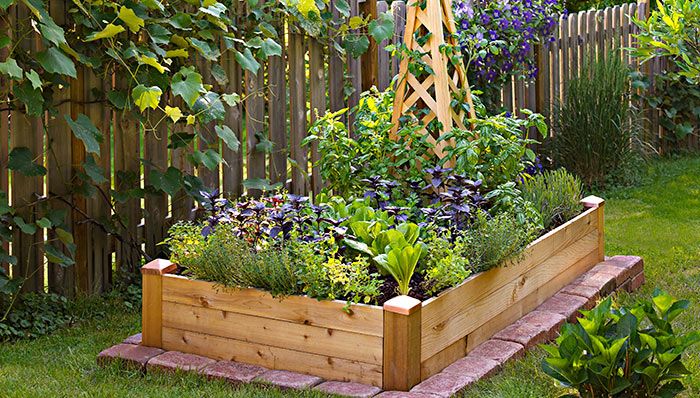 Square-Foot Gardening: Minimal Space, Maximum Results