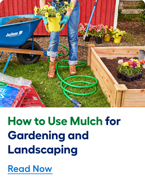 How to use mulch for gardening and landscaping. Read now.