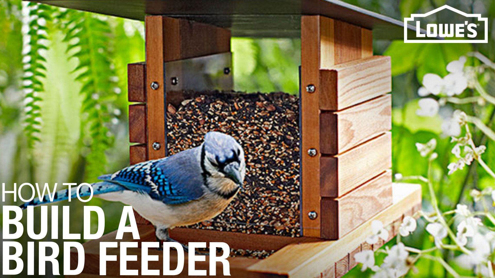 How To Build A Diy Bird Feeder