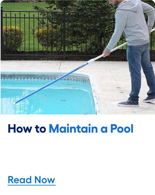 How to maintain a pool. Read now.