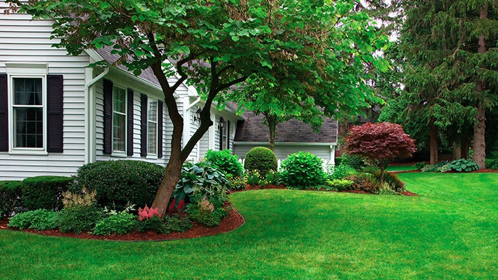 How to Prepare Your Lawn for Spring