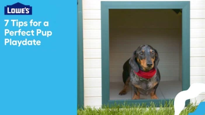 https://mobileimages.lowes.com/marketingimages/4fd03baf-456a-4d98-a265-eb0b73897916/black-brown-daschund-in-doghouse-dp18-316138-ah.jpg?scl=1