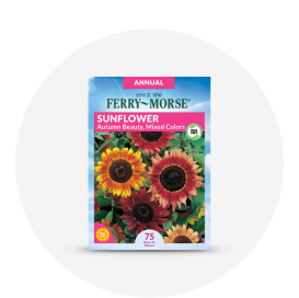 A package of Ferry-Morse sunflower seeds.