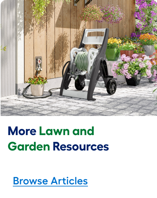 Browse more lawn and garden resource articles now.