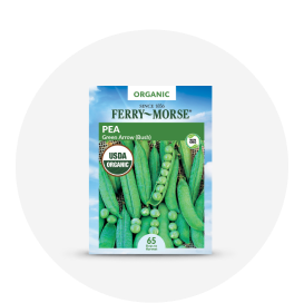 A package of Ferry-Morse green pea seeds.