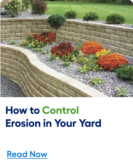 How to control erosion in your yard. Read now. 