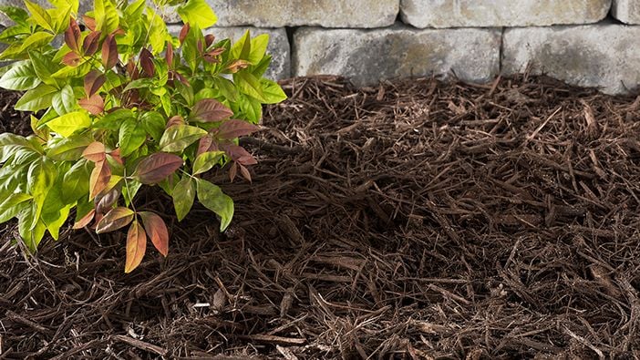 Red Fill Dirt - by the cubic yard — Stratford Landscape Supply | Your local  garden center and nursery