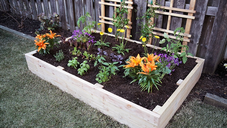 Triangle Raised Garden Beds At Lowes Com