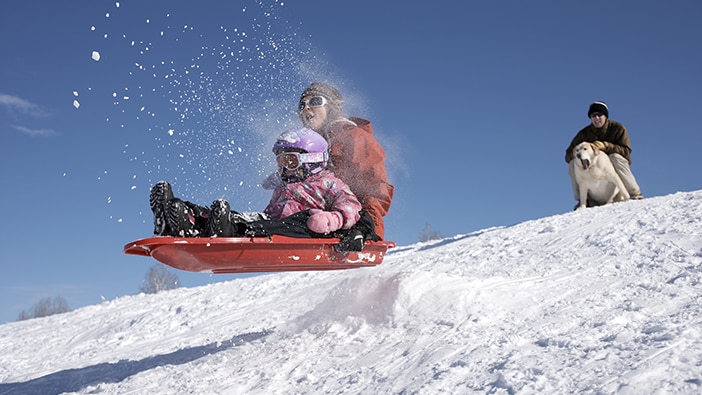 Snow sled Winter Sports at Lowes.com